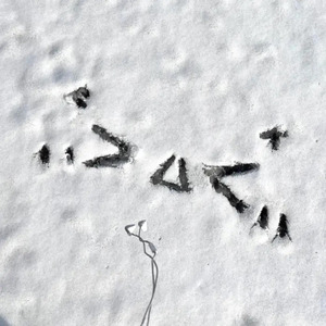 色妞永久免费视频
