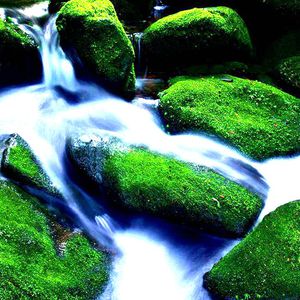 色妞永久免费视频
